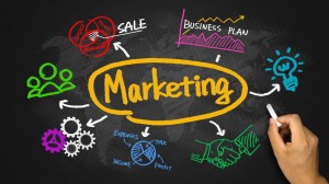Start-Pharmaceutical-Marketing-Company