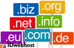 Review Idwebhost