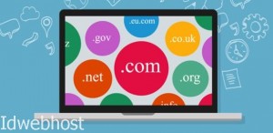 Review Idwebhost