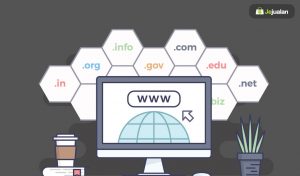 Bisnis Jual Beli Domain