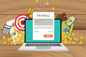software payroll gratis banner